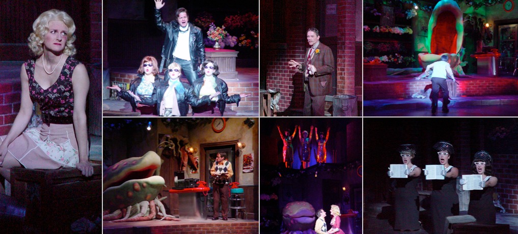 Little Shop of Horrors